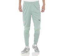 PUMA AC Milan - Pantaloni da allenamento da uomo, 24 Colori Autunno/Inverno Nebbia Verde Uva Nebbia (13), M