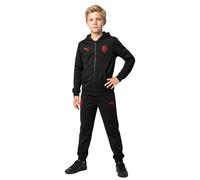 PUMA ACM FTBLCULTURE SUIT JR 140