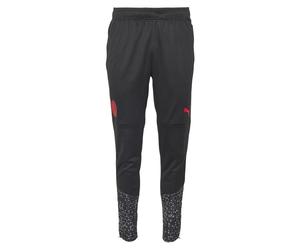 PUMA ACM TRAINING PANTS L