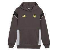 Puma Bvb Dortmund Ftbl Archive Hoody grigio M
