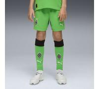 PUMA Calzettoni Borussia Mönchengladbach 25/26 per ragazzi, Abbigliamento, Verde/Warm Bianco, 9-10Y 9-10Y