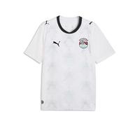 PUMA EFA Away Jersey Replica Maglie Uomo (Pacco da 1)