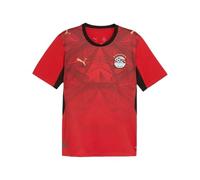 PUMA EFA Home Maglia Replica