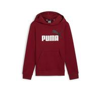 PUMA Ess+ 2 col Big Logo Hoodie FL B - Sudore Ragazzi, Intense Red, 586987