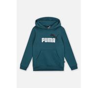 PUMA Ess+ 2 col Big Logo Hoodie FL B - Sudore Ragazzi, Cold Green, 586987