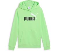 PUMA Ess 2 Color Nº1 Logo Hoodie 14-16 Years