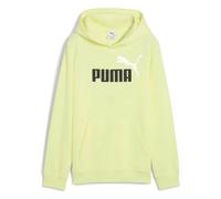 PUMA Ess 2 Color Nº1 Logo Hoodie 9-10 Years