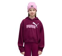 PUMA ESS 2COLOR LOGO HOODIE JR 140