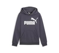 PUMA Ess Big Logo Hoodie FL B - Sudore Ragazzi, Galactic Gray, 586965