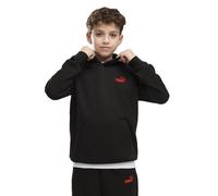 PUMA Essential Logo Lab Brand Back Graphic Hoodie 15-16 Years
