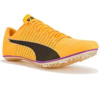 Puma evoSPEED Brush 6 39