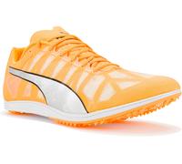 Puma evoSPEED Distance 10 45