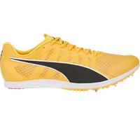 EVOSPEED DISTANCE 11 Puma Giallo