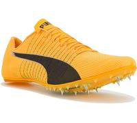 Puma evoSPEED Future 6 41