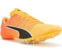 Puma evoSPEED Future 6 44