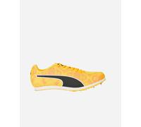 Puma Evospeed Star8 giallo 43