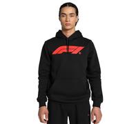 PUMA F1 Ess Logo Hoodie FL 627224 Motorsport MOTER-Felpa con Cappuccio e Retro in Pile, 24 Autunno/Inverno Colore Nero (01), L Uomo