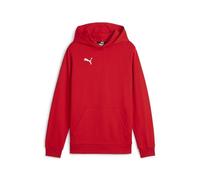 Puma Felpa con Cappuccio da Ragazzo Teamgoal Casuals