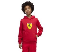Puma Felpa Con Cappuccio Ferrari Colored Shield