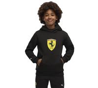 Puma Felpa Con Cappuccio Ferrari Colored Shield