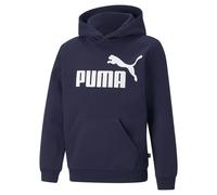 Puma Felpa Essentials Big Logo Fl