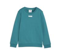 PUMA Felpa girocollo con logo Essentials per bambini, Accessori, Verde, 5-6Y 5-6Y