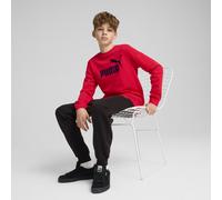 PUMA Felpa girocollo Essentials con logo No. 1 per ragazzi, Abbigliamento, Rosso, 15-16Y 15-16Y