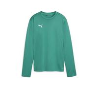 PUMA Felpa Unisex da Allenamento Teamgoal