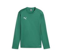 PUMA Felpa Unisex Teamgoal Training Jr