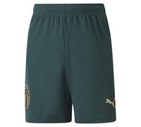 Puma FIGC Third Shorts Replica, Pantaloncini Uomo, Ponderosa Pine/Peacoat, M