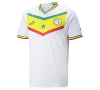 PUMA Fsf Home Jersey Replica Maglione Uomo