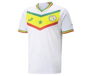 Puma Fsf Home Maglione Replica