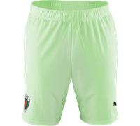 Puma Füchse Berlin Short 2024/2025 Shorts XXL Verde