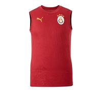 PUMA Galatasaray Istanbul Training SL T-Shirt Rosso M Uomo