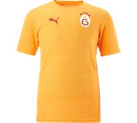 Puma Galatasaray Istanbul Training T-Shirt Maglia XXL Arancio