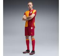 PUMA Galatasaray S.K. Shorts 26/27 da uomo, Accessori, Rosso, L L