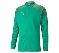 PUMA Giacca da Allenamento Teamcup, Lavorata a Maglia Uomo, Verde Peperoncino, L