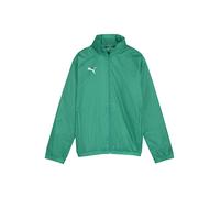 PUMA Teamgoal Allweather Jacket Jr, Giacca in Poliestere Unisex Kids, Sport Green White, 116