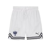 PUMA HOOPS x CF MONTERREY Basketball Shorts Men, Sport, Feather Grigio/Bianco/Aop, XS XS