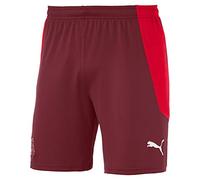 Puma Liga Shorts Core with Brief, Pantaloncini Uomo