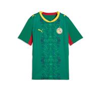 PUMA Maglia Away Senegal 2026 per ragazzi, Accessori, Verde, 11-12Y 11-12Y