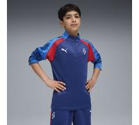 PUMA Maglia da calcio con zip corta Neymar Jr Playmaker per ragazzi, Abbigliamento, Blu, 11-12Y 11-12Y