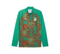 PUMA Maglia da riscaldamento con zip corta Costa d’Avorio da uomo, Accessori, Verde, XL XL