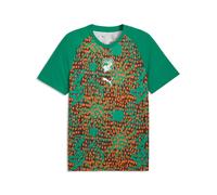 PUMA Maglia da riscaldamento Costa d'Avorio da uomo, Accessori, Verde, XS XS