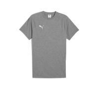 PUMA Maglia funzionale 'TeamEvostripe' grigio / bianco Uomo PUMA XL