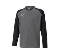 PUMA Maglia funzionale 'TeamLiga' grigio / nero / bianco Bambini PUMA 164