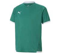PUMA Maglia funzionale 'TeamLIGA' smeraldo / bianco Bambini PUMA 116