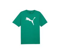 PUMA Maglia funzionale 'TeamRise' verde / bianco Uomo PUMA M