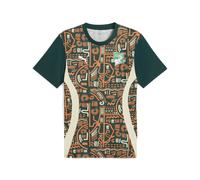 PUMA Maglia pre-partita Costa d'Avorio 2025 da uomo, Accessori, Verde, XS XS