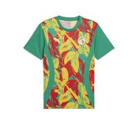 PUMA Maglia pre-partita Senegal 2025 da uomo, Sport, Sport Verde/Faster Giallo/Rosso, L L